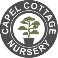 Capel Cottage Nursery